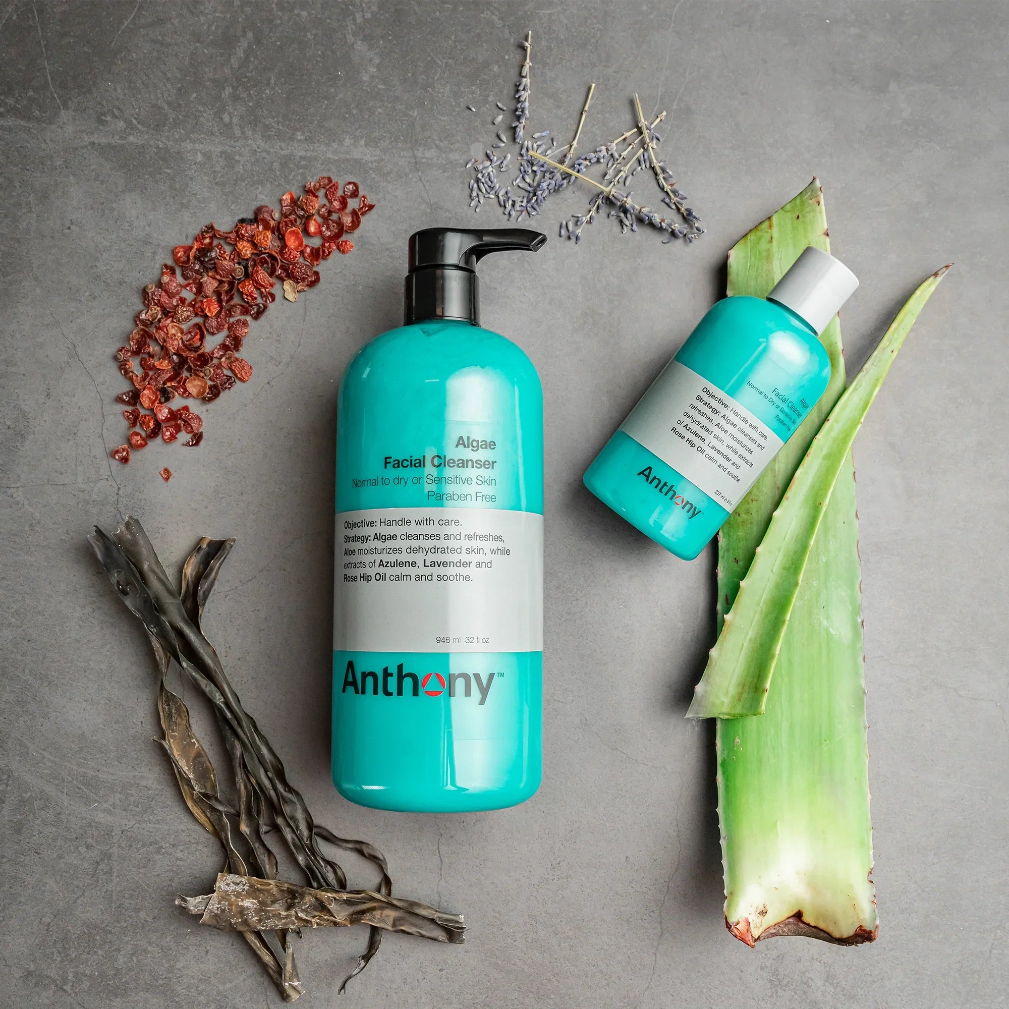 Algae Extract In Skincare